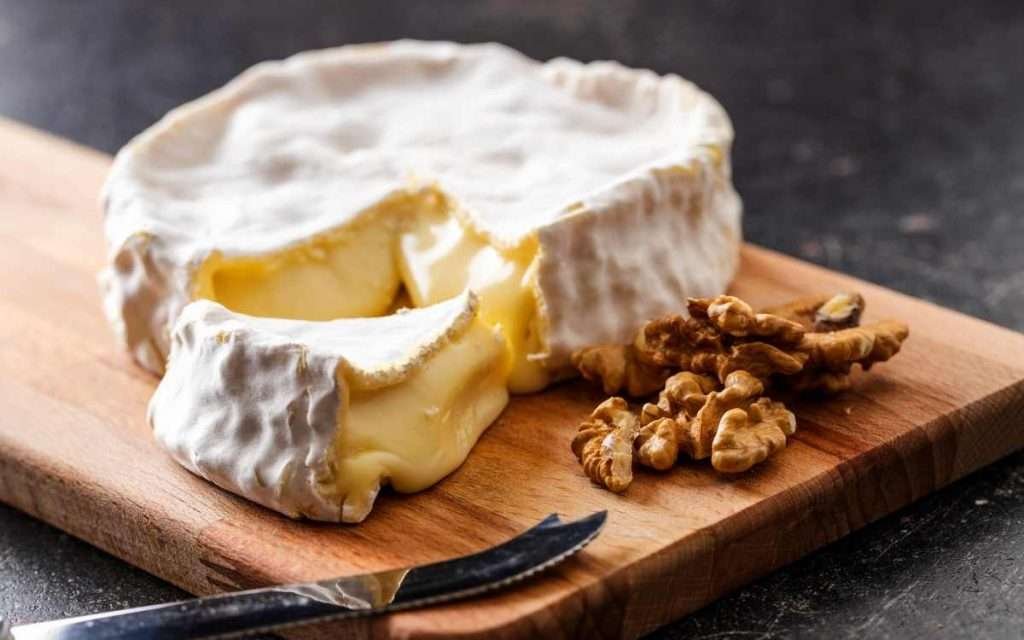 Foods That Start With The Letter B Brie cheese