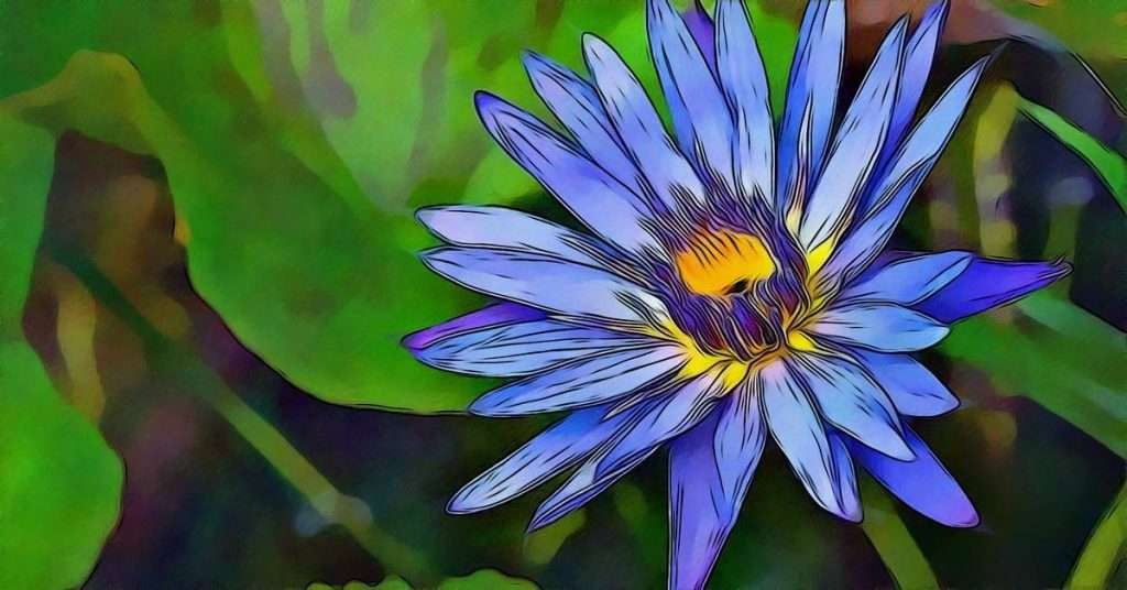 Blue Lotus Flower Meaning