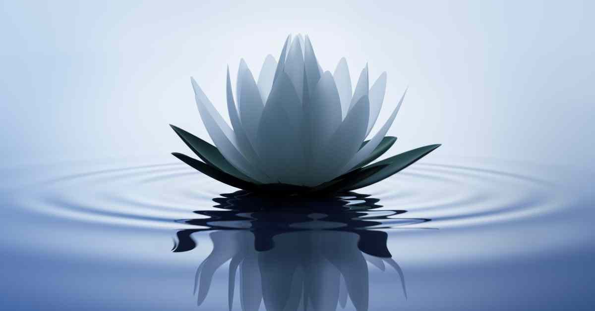 White Lotus Flower Hindu Meaning