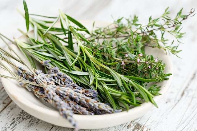 dry herbs in a bowl
