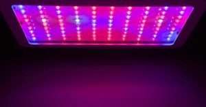 led grow lights review