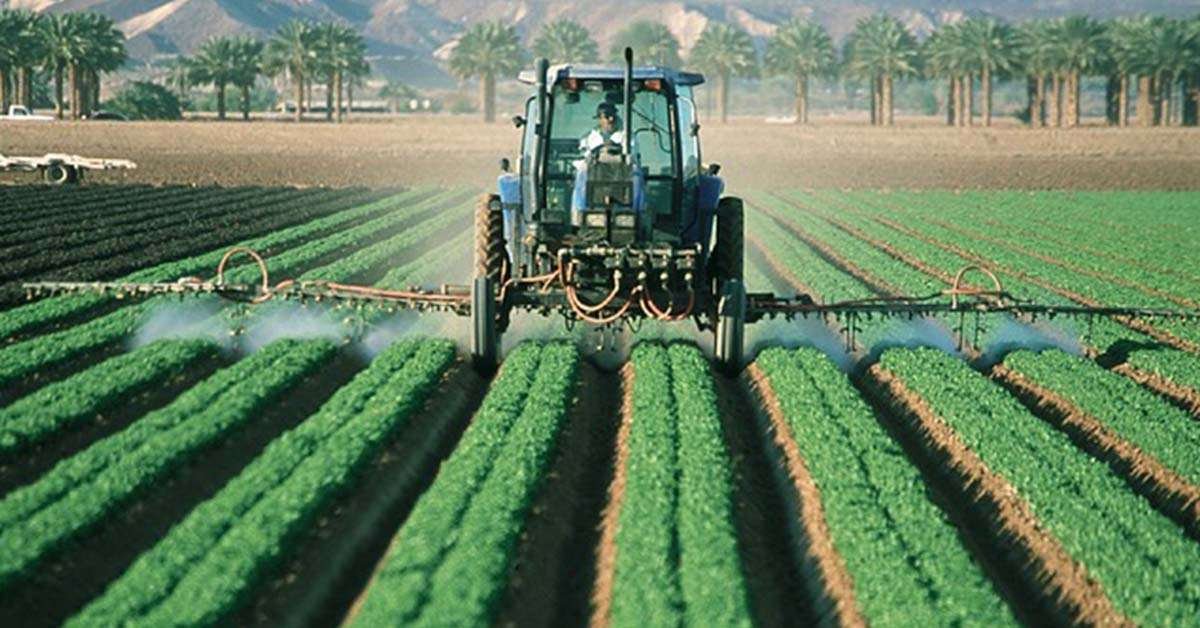 how does pesticide affect plants 1