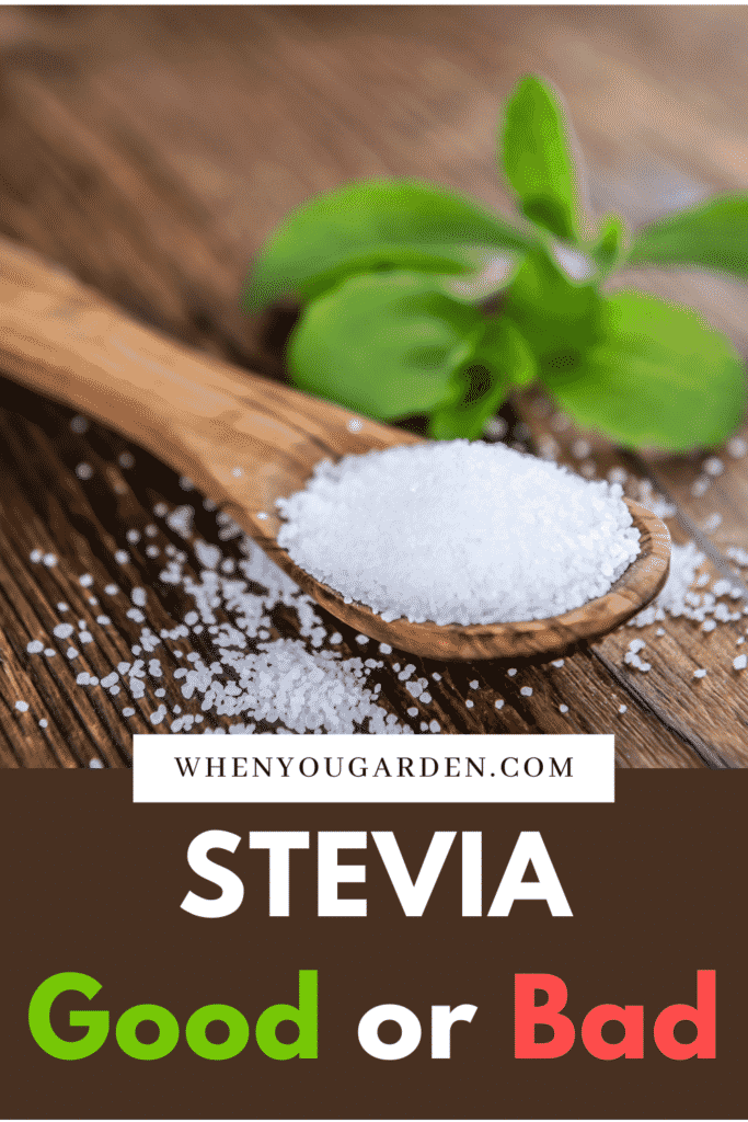 stevia good or bad