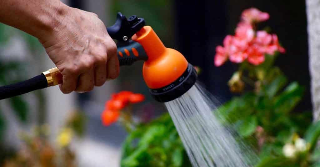 watering seeds