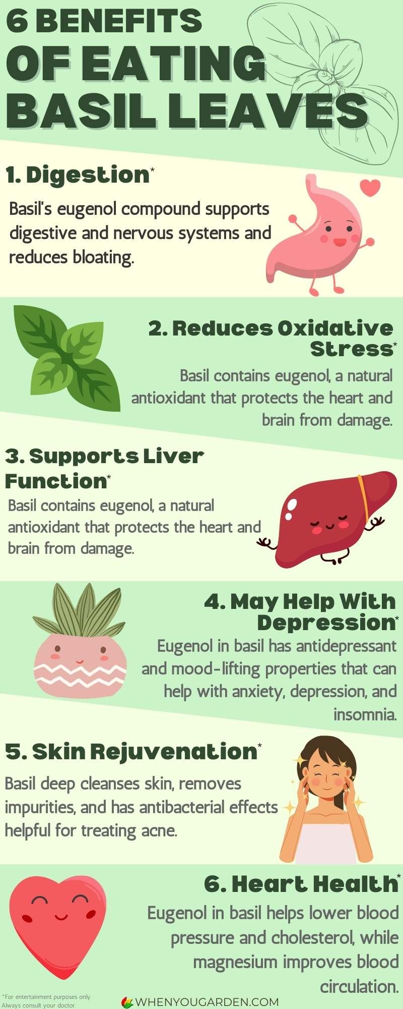 benefits of Eating Basil Leaves