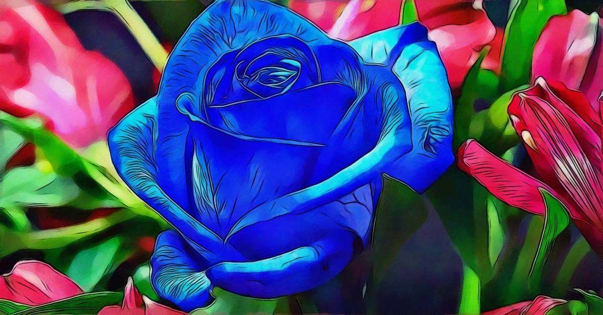 Blue Rose Flower Meaning