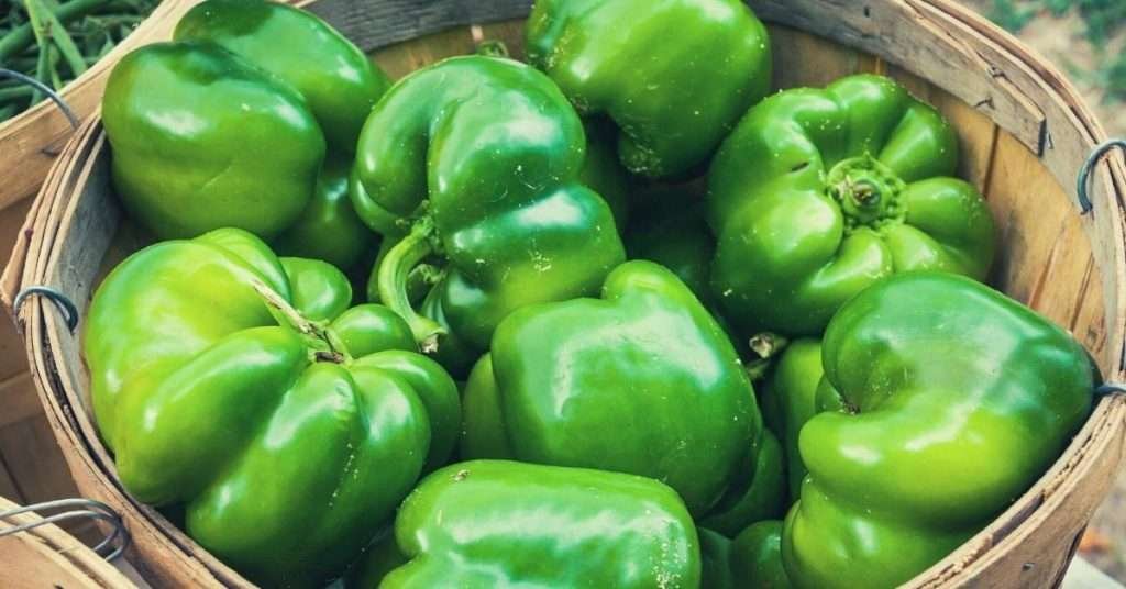 Green Bell Pepper Nutrition