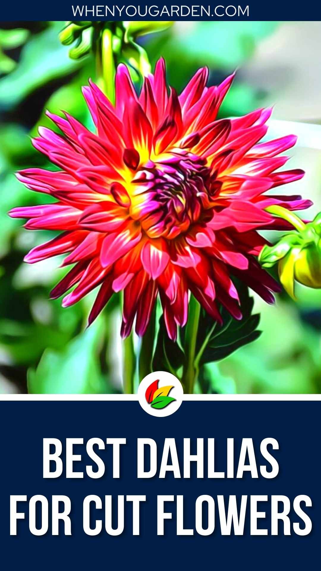 Best Dahlias for Cut Flowers