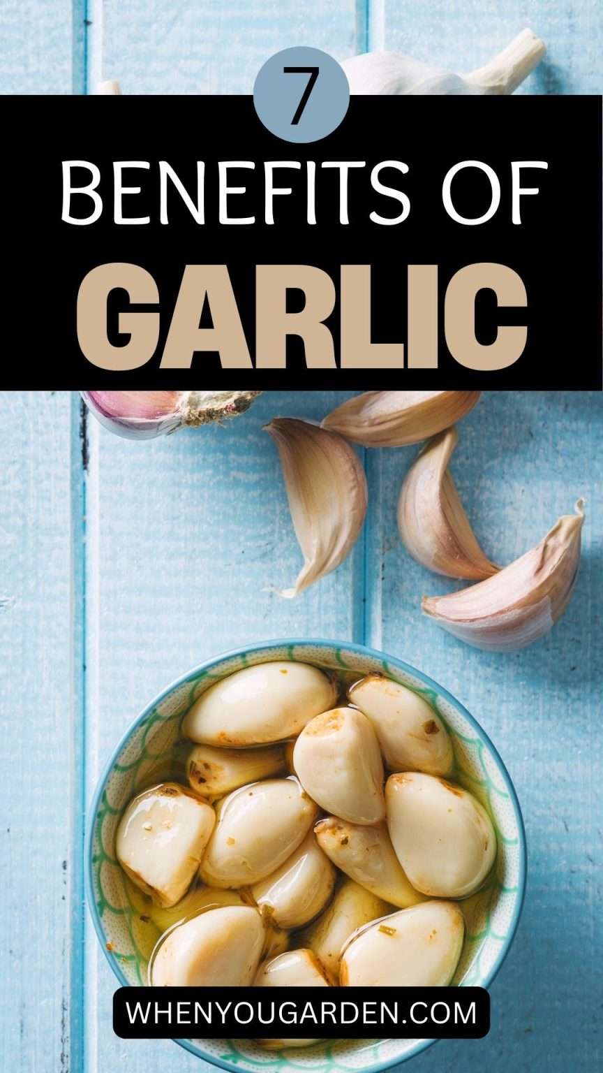 7 Benefits Of Raw Garlic - WhenYouGarden.com